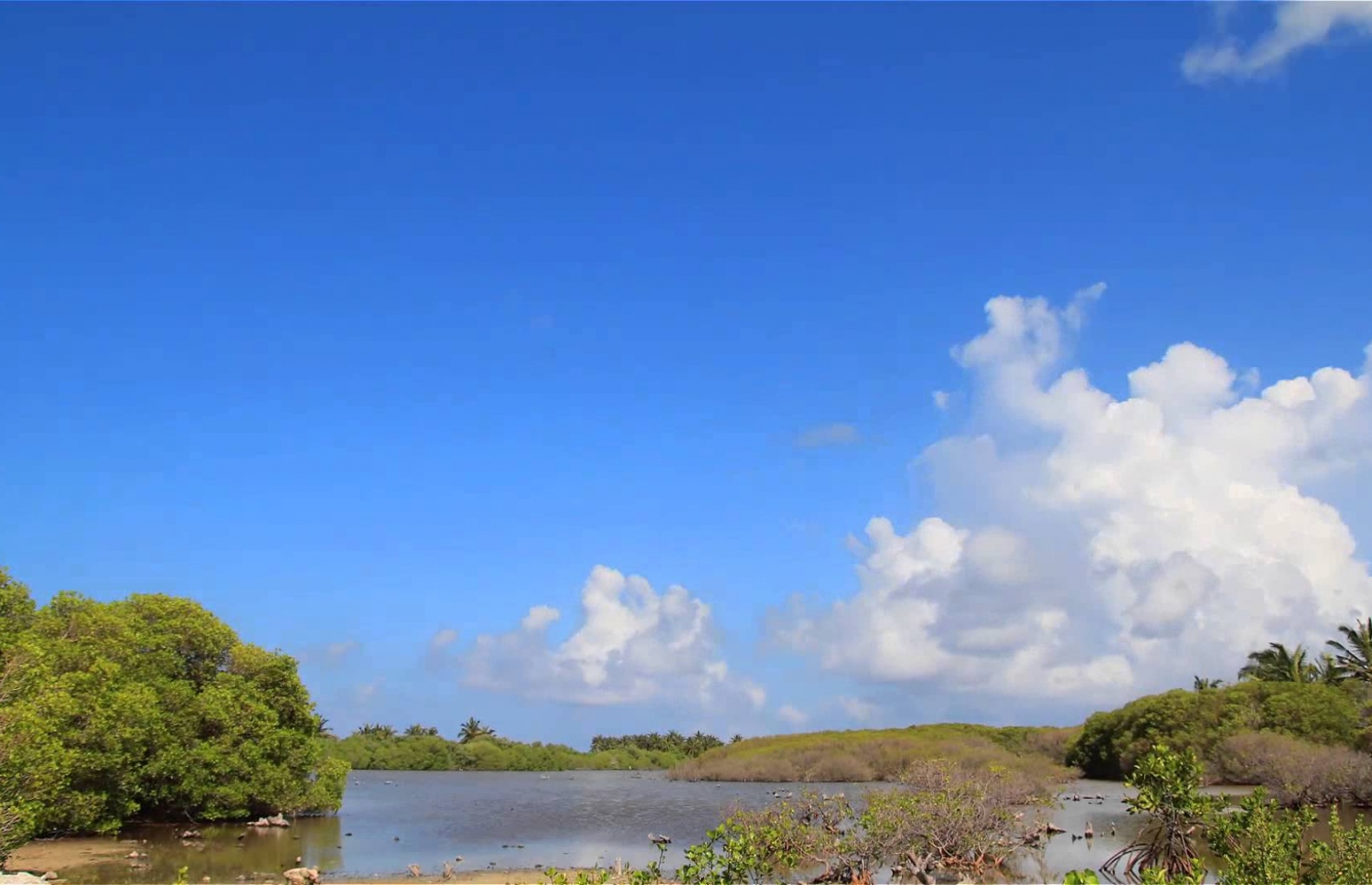 ކުޅުދުއްފުށީ ކުޅި: އެއާޕޯޓު ހެދުމަށް ސާމްޕަލް އެތަނުން ވަނީ ނަގާފައި
