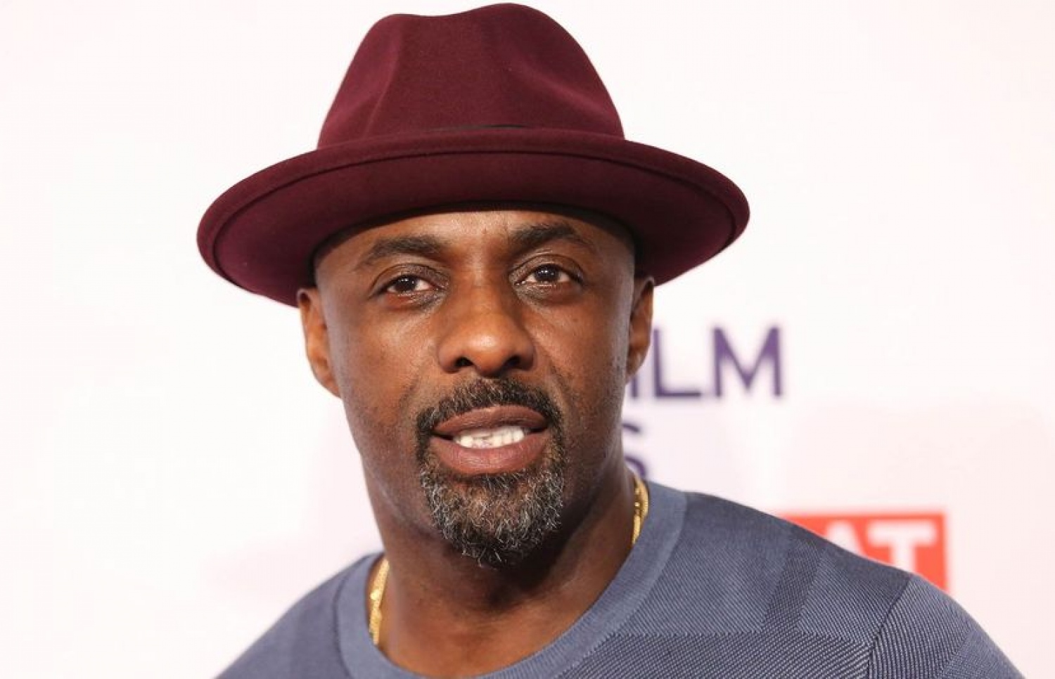 އިދްރީސް އެލްބާ: ބޮންޑްގެ ރޯލުން ފެނުމާ މެދު ބަހުސްތަކެއް އެބަހުރި.