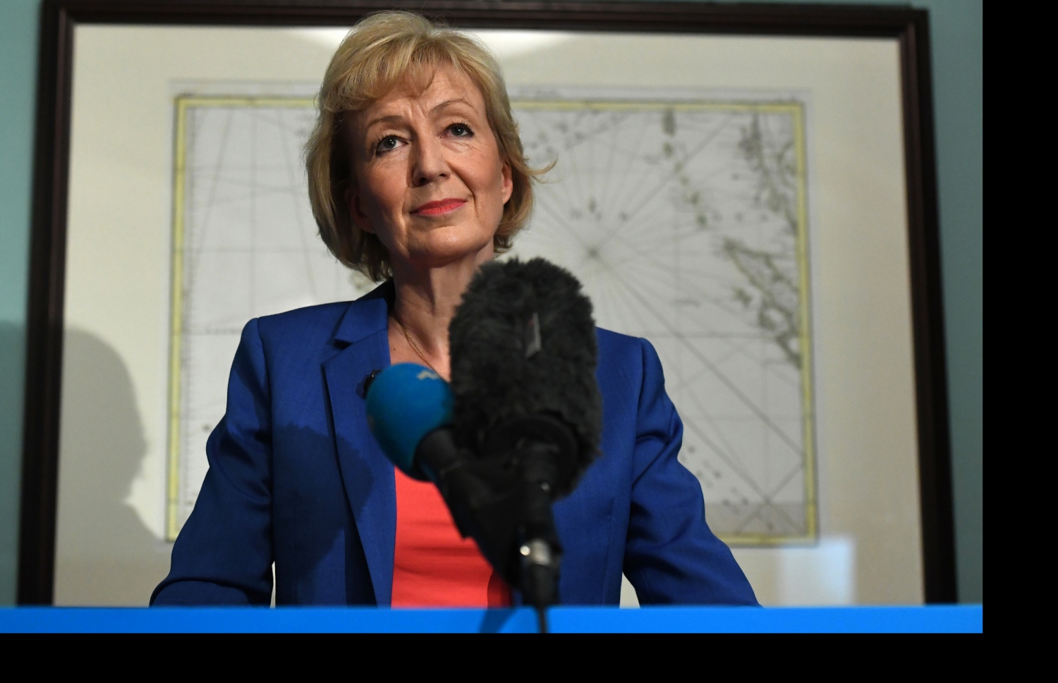 ކޮންޒަވެޓިވް ޕާޓީގެ ލީޑާޝިޕް ރޭހުން ވަކިވެވަޑައިގެންނެވި އެންޑްރިއާ ލެޑްސަން. --ފޮޓޯ:އޭއެފްޕީ