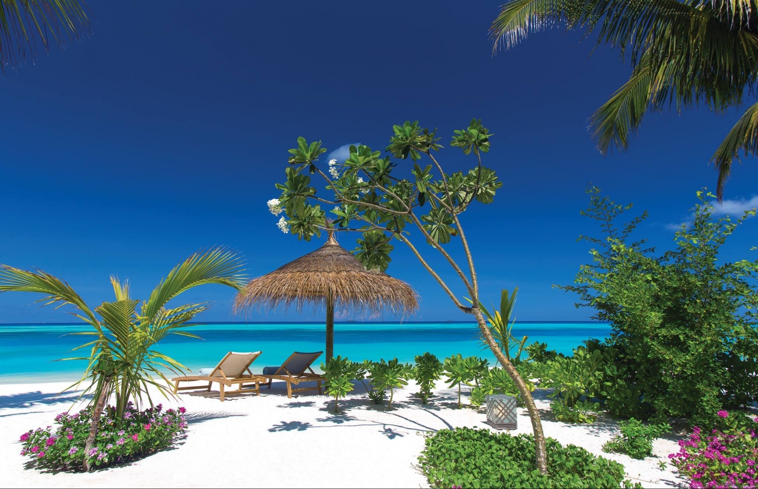 މާލެ އަތޮޅުގައި އެންމެ ފަހުން ހުޅުވި އޯޒެން ބައި މާދޫގެ ބީޗު ވިލާއެއްގެ ބޭރުގައި ގެސްޓުންނަށް ކުޑަ ޖަހާފައި.-- ފޮޓޯ: އޯޒެން ބައި މާދޫ