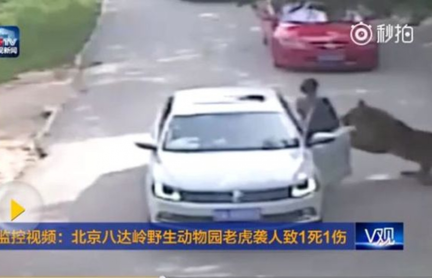 އަންހެން މީހާ ކާރުން ފޭބި ތަނުން މިނިކާވަގު އައިސް ހިފައިގަންނަނީ. --ފޮޓޯ:ޗައިނާނިއުސް