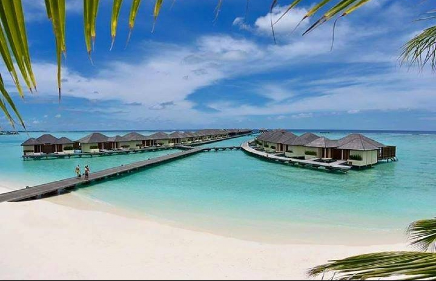 ޕެރެޑައިސް އައިލެންޑް ރިސޯޓު. އެ ރިސޯޓުގެ އޮކިއުޕެންސީ އުޅެނީ 90 ޕަސެންޓަށްވުރެ މަތީގައި-- ފޮޓޯ: މިހާރު