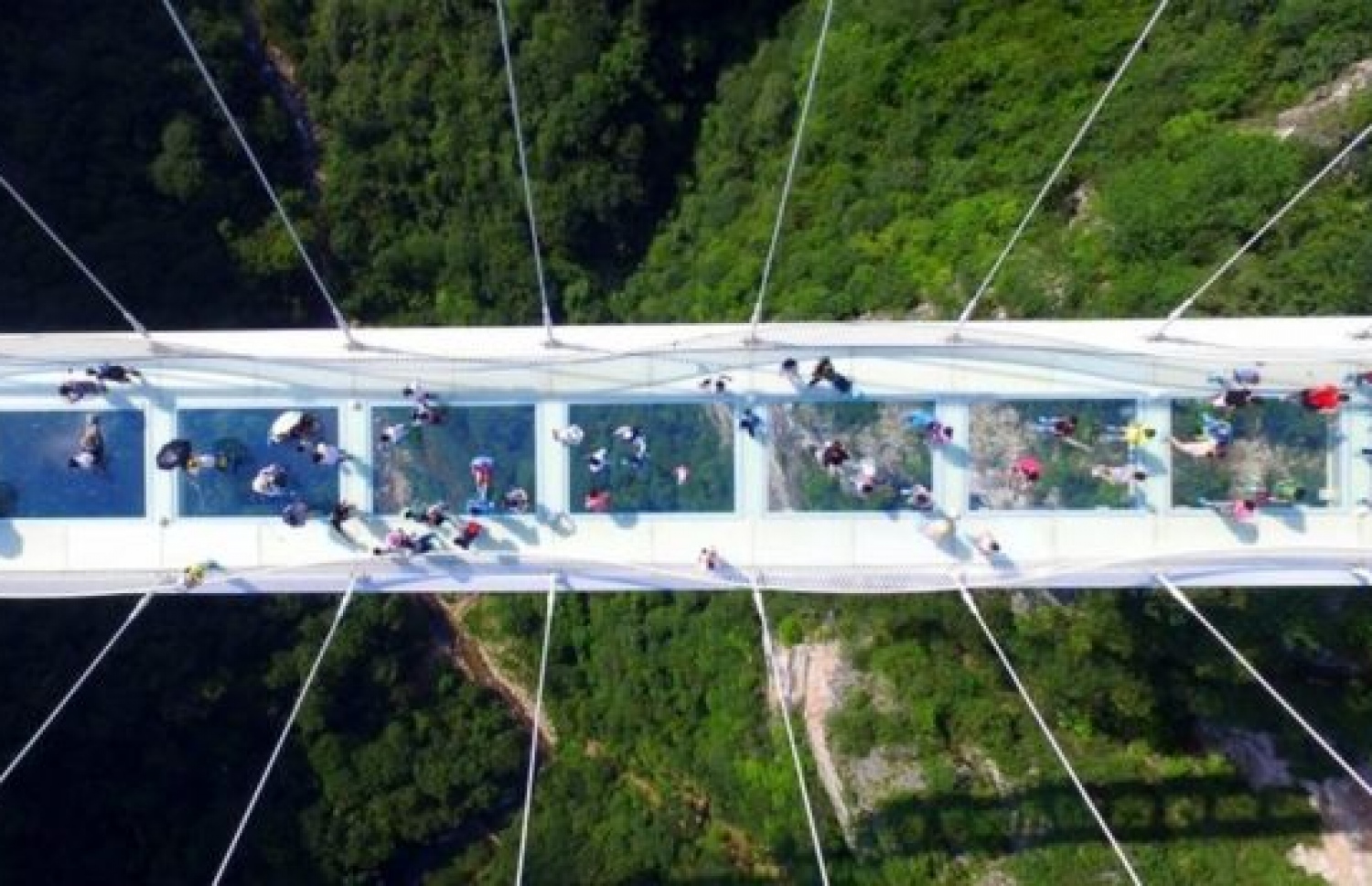 ޗައިނާގައި ހެދި ބިއްލޫރި ބްރިޖުގެ މަތިން ބަޔަކު ހިނގަނީ. --ފޮޓޯ:އޭޕީ