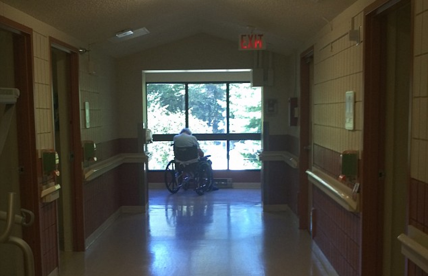 ވޮލްފް އެކަނިވެރިކަމާއެކު