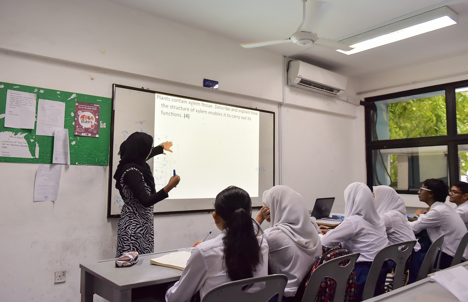 ސީއެޗްއެސްއީގެ ކްލާހެއް: ސްކޫލުތަކުން އަމިއްލައަށް ކެރިއަ ގައިޑެންސްގެ ޕްރޮގްރާމް ހިންގާ.--މިހާރު ފޮޓޯ