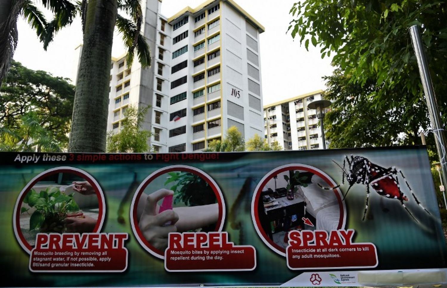 ޒިކާ ވައިރަސް ޖައްސާ އީޑީސް މަދިރިއާ ބެހޭ ގޮތުން ހޭލުންތެރިކަން އިތުރު ކުރުމަށް ސިންގަޕޫރުގައި ބަހައްޓާފައިވާ ބެނާއެއް. --ފޮޓޯ:އޭއެފްޕީ