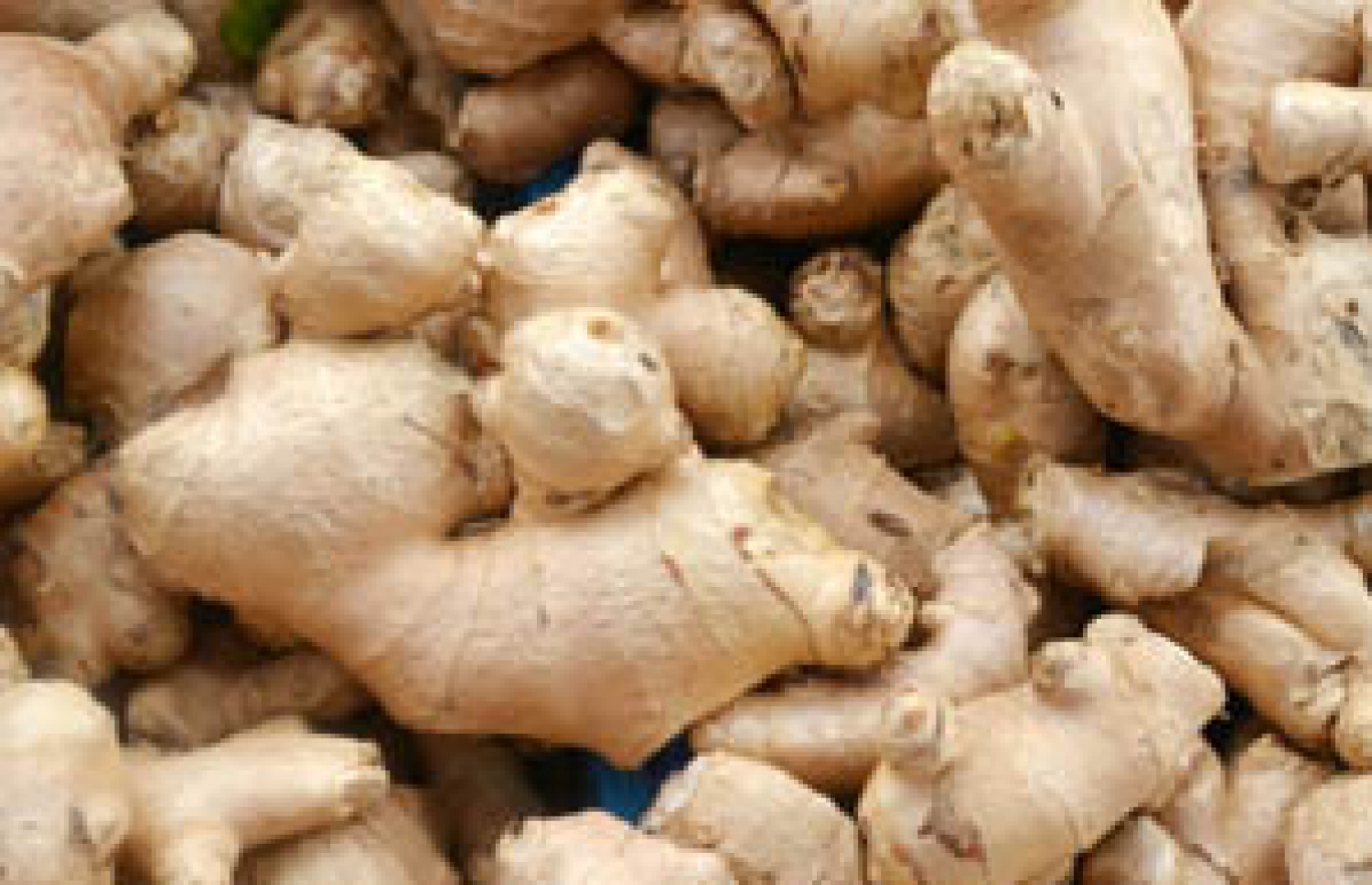 އިނގުރު: ވަރަށް ގިނަ ބަލިތަކަށް ފަރުވާ ކުރެވޭ އެއްޗެއް