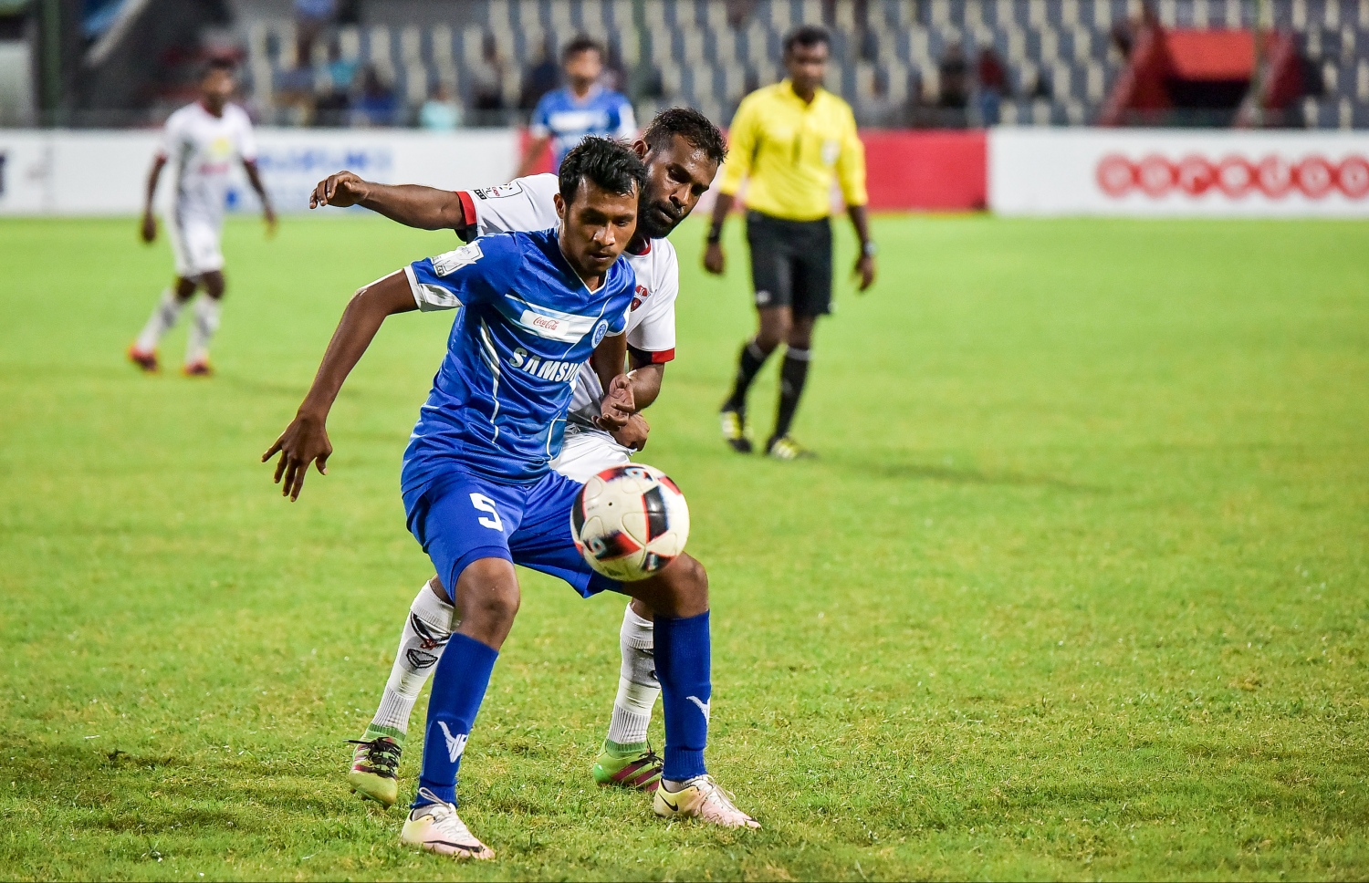 މިދިޔަ ސީޒަނުގައި ޓީސީގެ ސައްޕޭ ކައިރިން ނިއުގެ ހަމްޕު ބޯޅަ ހިފައިގެންދާން މަސައްކަތް ކުރަނީ.-- ފޮޓޯ: ނިޝާން އަލީ/ މިހާރު