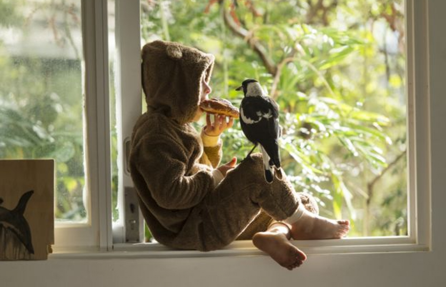 މަތިން ވެއްޓި ލިބުނު ގެއްލުމުގައި މެއިން ތިރި އެއްކޮށް ވާވި އޮސްޓްރޭލިޔާގެ ސެމް ބްލޫމްގެ ދަރިފުޅަކު ކަމުން ދާ އިރު ދޫނި "ޕެންގުއިން" އޭނާގެ ކަކޫމަތީގައި