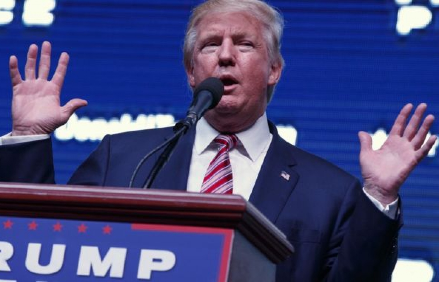 ޑޮނަލްޑް ޓްރަމްޕް: ޕާޓީގެ އިސް ފަރާތްތަކަށް ވެސް ބަހުގެ ހަމަލާތައް ދެއްވި. --ފޮޓޯ:އޭޕީ