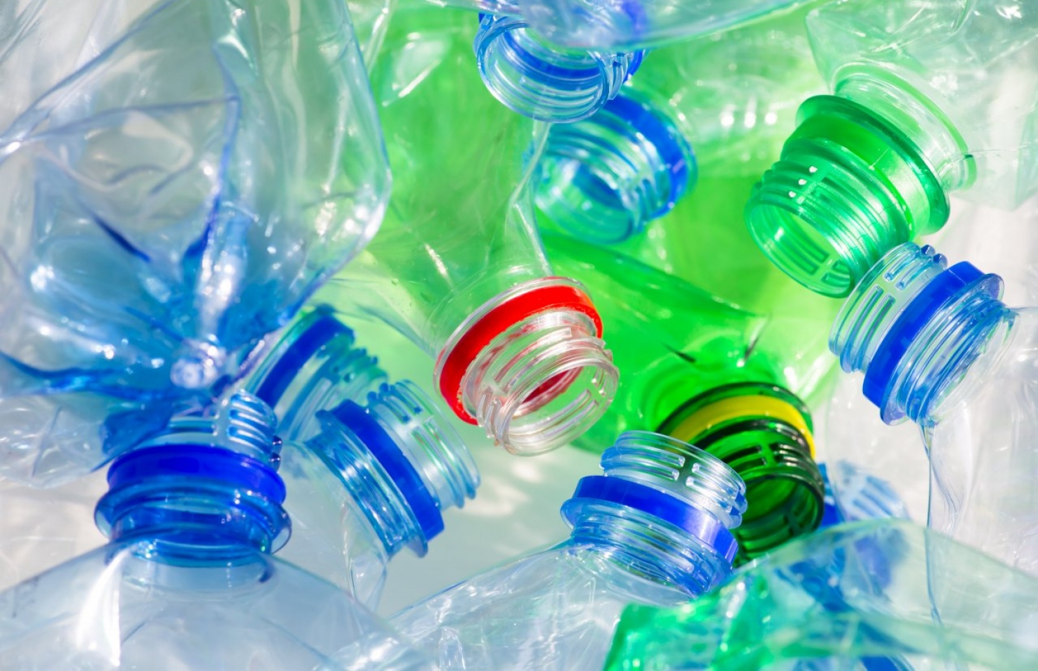 ޕްލާސްޓިކް ފުޅީގައި ކެމިކަލް ހުރުމުން އިންސާނުންގެ ހޯމޯންތަކަށް ނޭދެވޭ އަސަރު ކުރޭ