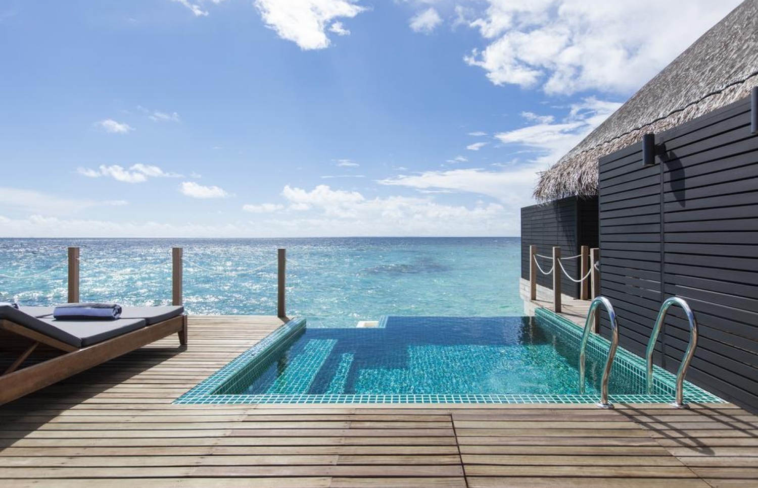 އައުޓްރިގާ ކޮނޮއްޓާގެ މޫދު ކޮޓަރިއެއް.-- ފޮޓޯ: އައުޓްރިގާ ކޮނޮއްޓާ