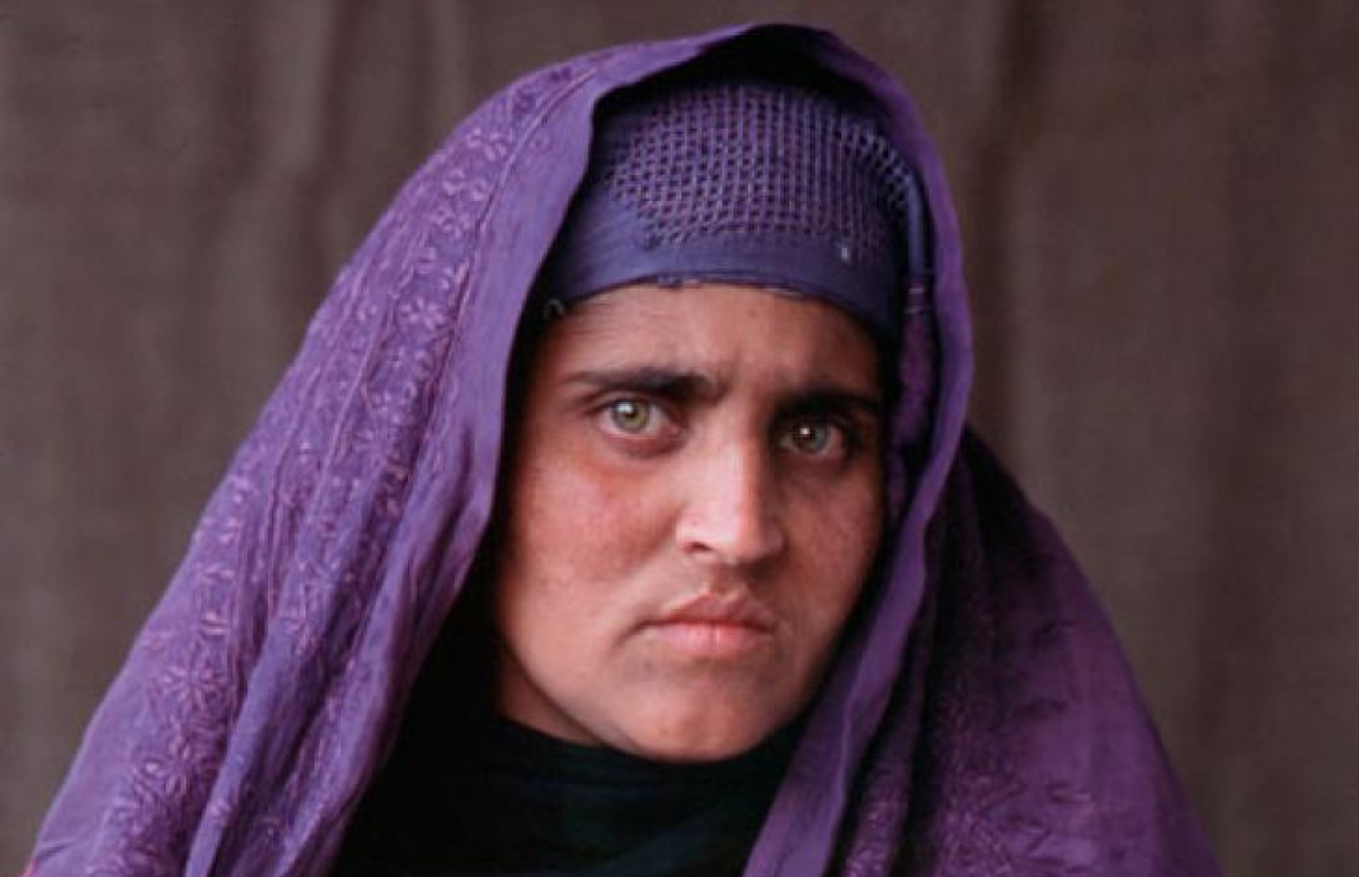 ޝަރުބަތު ގުލާ 2002 ވަނަ އަހަރު