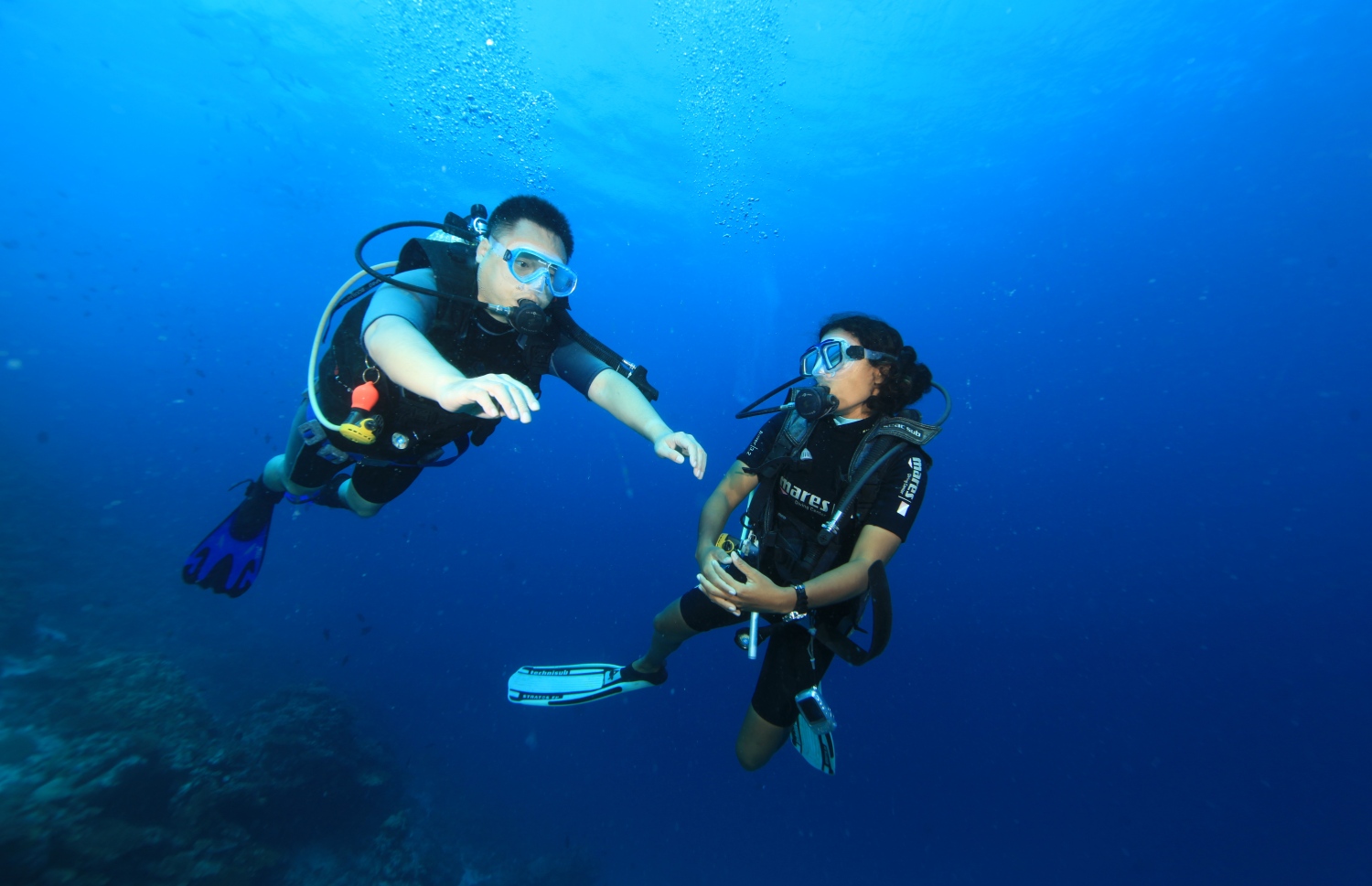 ޒޫނާ ނަސީމް ޓޫރިސްޓަކަށް ޑައިވްކުރަން ދަސްކޮށްދެނީ.