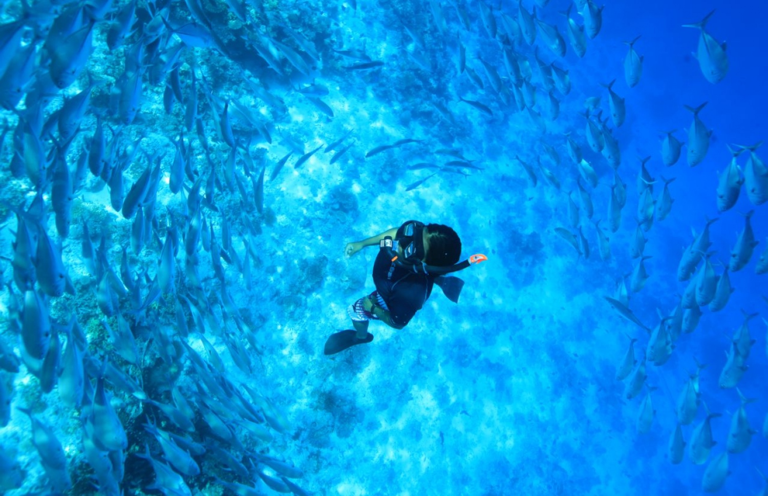 ޒޫނާ: ރިސޯޓްތަކުގައި މަސައްކަތްކުރުމަށް ފަހު މިހާރު އަންނަނީ އަމިއްލަ ޑައިވް ސެންޓަރެއް ހުޅުވަން ތައްޔާރުވަމުން.