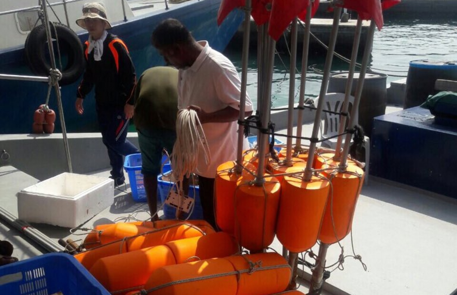 ހިންމަފުށި ބޭރުން އާ ވައްތަރެއްގެ ބޯވަދިލަމަހެއް ހިފުމުގެ މަސައްކަތް މިއަދު ކުރަނީ.-- ފޮޓޯ: ޓުވިޓާ