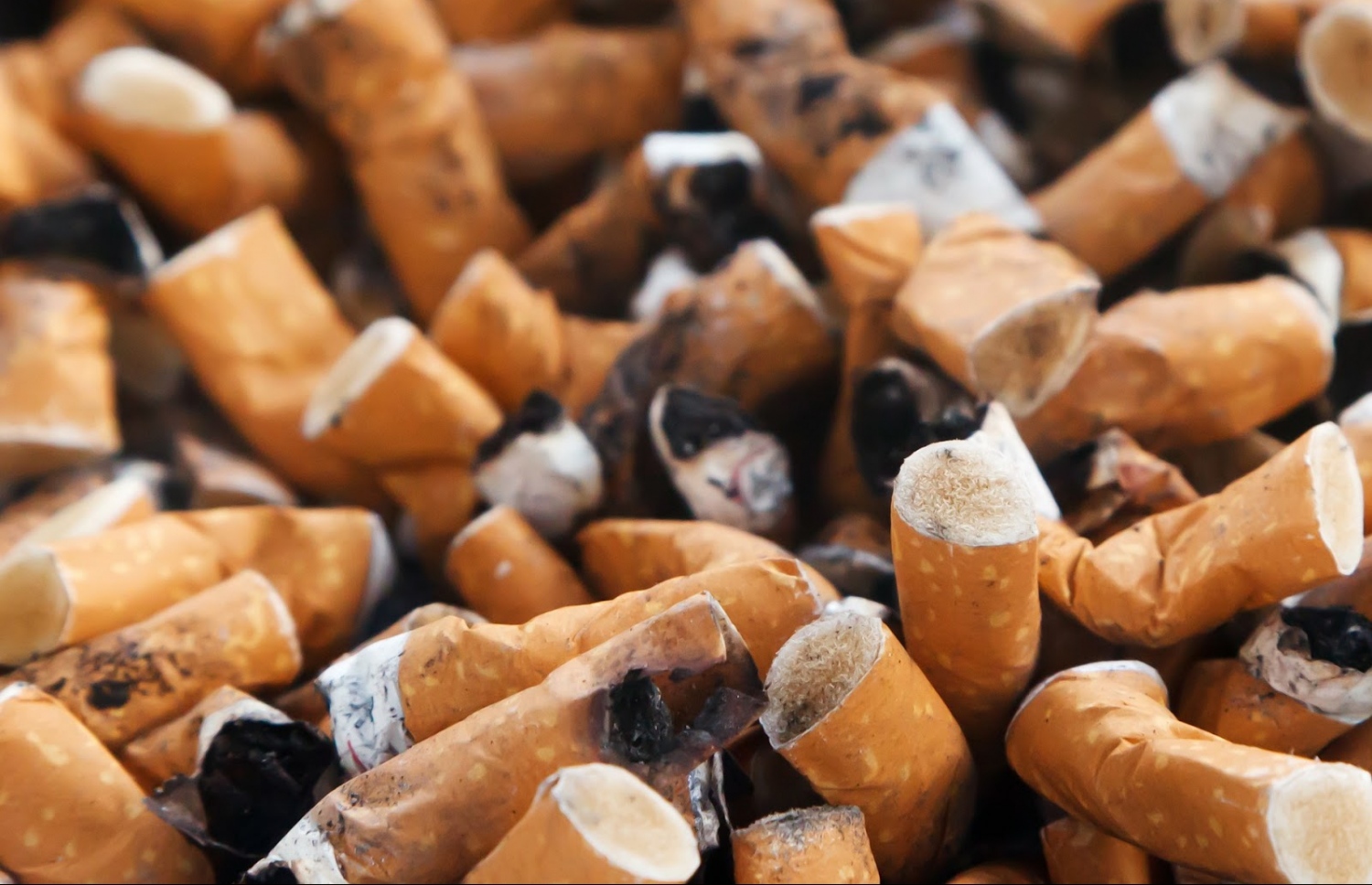 މާލޭގައި މިހާރު ވެސް ކުރިމަތިވާ އެންމެ ބޮޑު އެއް މައްސަލަ އަކީ ސިނގިރޭޓު ބުއިން މަނާކުރުމާ ގުޅޭ ކަންކަން ރަނގަޅަށް ތަންފީޒު ނުކުރެވުން.