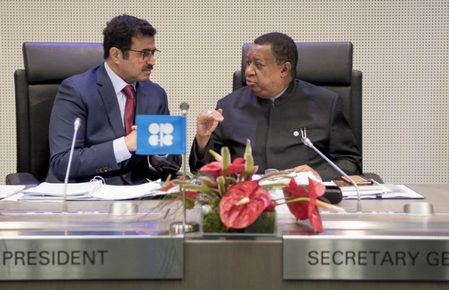 އޯޕެކުގެ ބައްދަލުވުމުގައި އެ ޖަމާއަތުގެ ރައީސް އާއި ސެކްރެޓަރީ ޖެނެރަލް މަޝްވަރާ ކުރައްވަނީ. --ފޮޓޯ:އޭއެފްޕީ