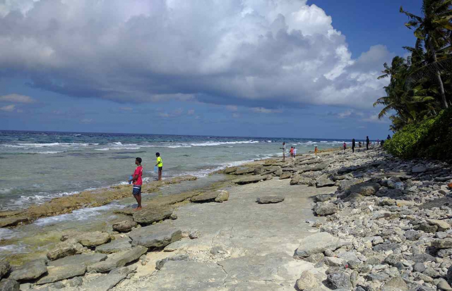 ފުވައްމުލަކު އަތިރިމަތީގައި މީހުން އިއްްޔެ ފުޅަނގި ހޮވަނީ: މިދިޔަ 15 ވަރަކަށް އަހަރުގެ ތެރޭގައި އެންމެ ގިނައިން ފުޅަނގި އަރާފައި ވަނީ މި ފަހަރު.-- ފޮޓޯ: އިސްމާއިލް ރަފީގު