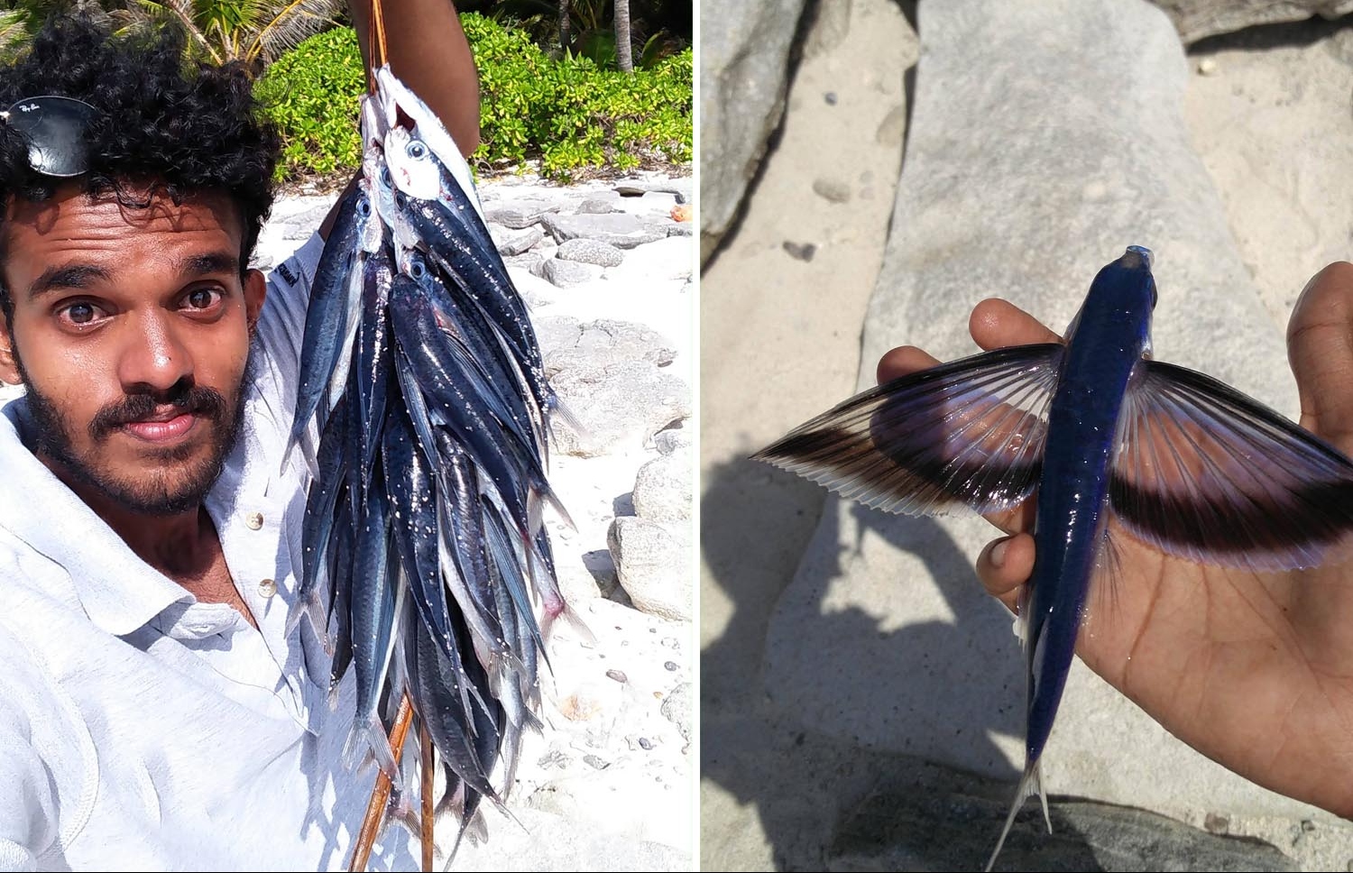 ފުވައްމުލަކު ޒުވާނަކު ފުޅަނގިތަކެއް ހިފައި ފައްޗަކަށް އަމުނައިގެން (ވ) އަދި ދިރި އޮތް ފުޅަނގިއެއް ދެ ފިޔަފަތި ހުޅުވާލައިގެން