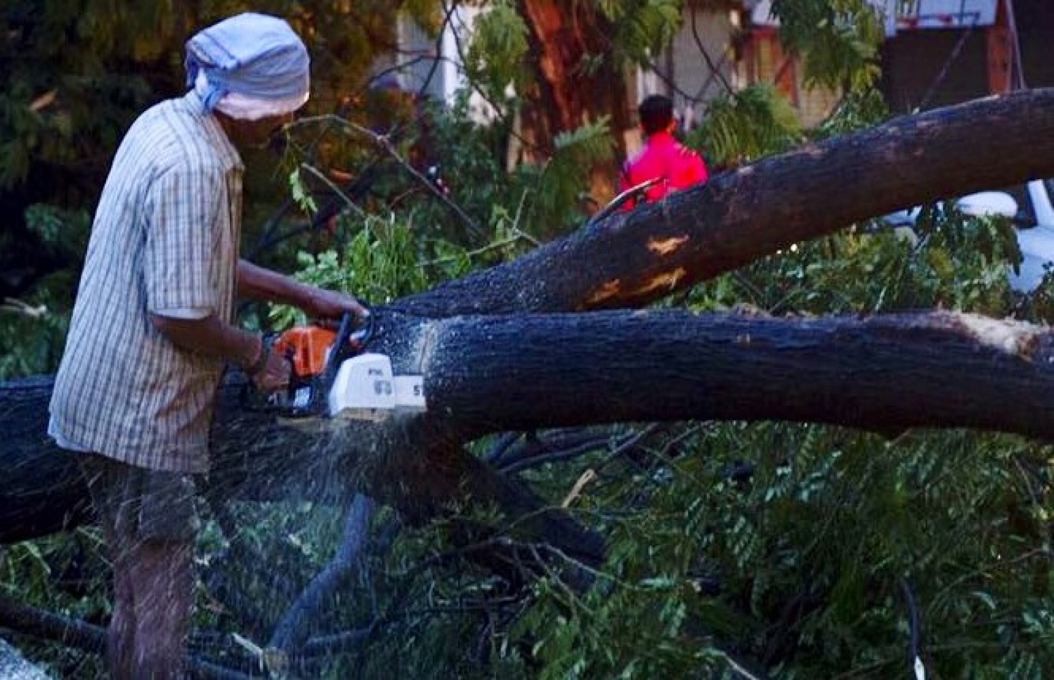 އިންޑިއާ، ޗެންނާއީ: ޑިސެމްބަރު 12، 2016: ޗެންނާއީ އަށް އެރި ތޫފާން ވަރުދާގައި މުލުން ލުހި މަގުމައްޗަށް ވެއްޓިފައިވާ ގަހެއް ނެގުމުގެ މަސައްކަތް ކުރަނީ. -- ފޮޓޯ: އޭއެފްޕީ