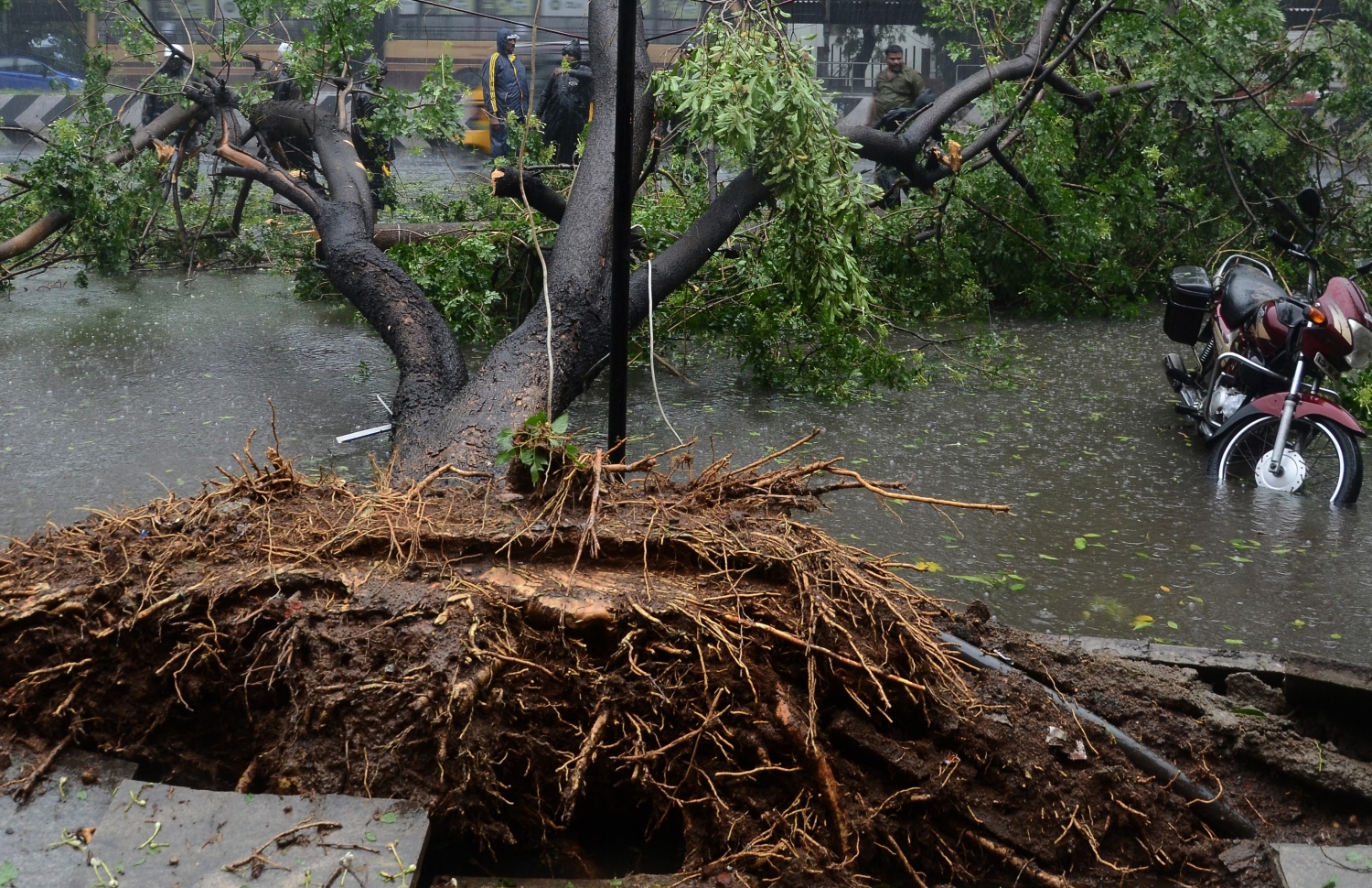 ޗެންނާއީ އަށް އެރި ތޫފާން "ވަރުދާ"