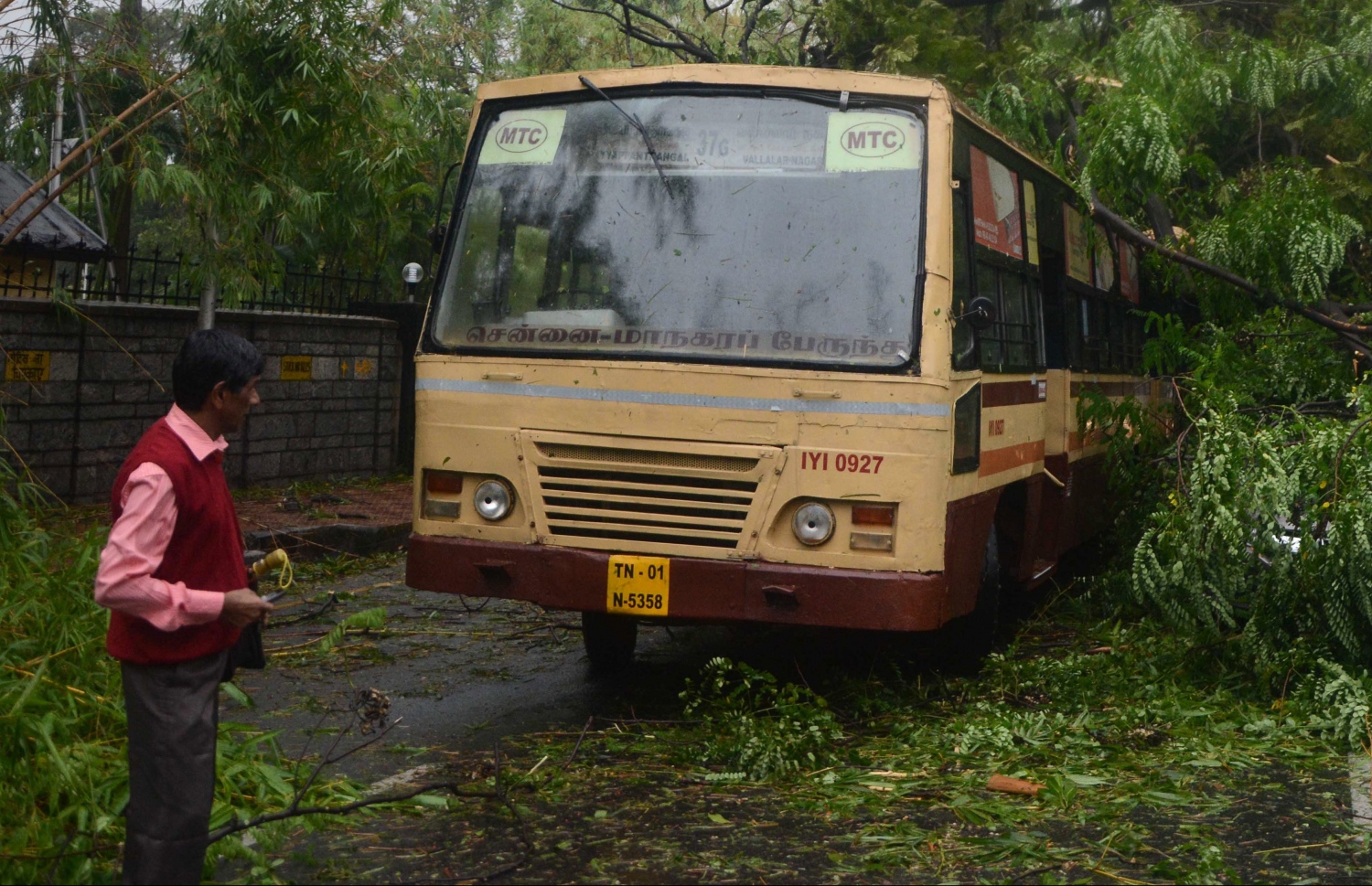 އިންޑިއާ، ޗެންނާއީ: ޑިސެމްބަރު 12، 2016: ޗެންނާއީ އަށް އެރި ތޫފާން ވަރުދާގައި ބަހެއްގެ މައްޗަށް ގަހެއް ވެއްޓިފައި: މި ތޫފާނުގައި ދެ މީހުން މަރުވެފައިވާ ކަމަށް އޮފިޝަލުން ވިދާޅުވޭ.-- ފޮޓޯ: އޭއެފްޕީ