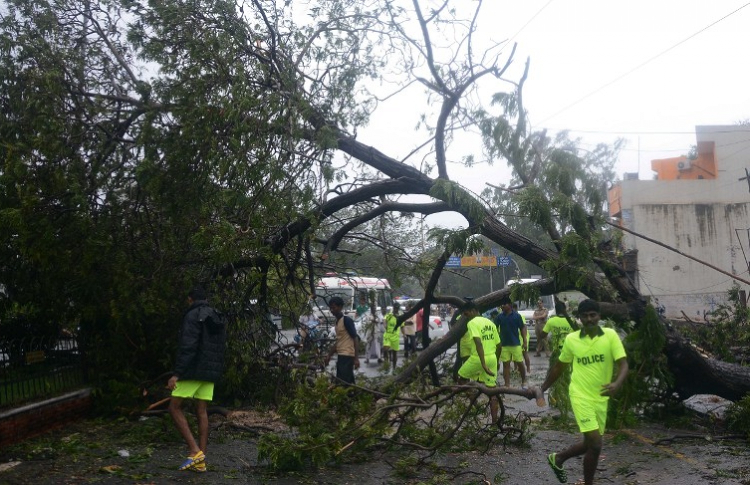 އިންޑިއާ، ޗެންނާއީ: ޑިސެމްބަރު 12، 2016: ޗެންނާއީ އަށް އެރި ތޫފާން ވަރުދާގައި މަގުމައްޗަށް ވެއްޓިފައިވާ ބޮޑެތި ގަސްތައް ޕޮލިހުން ނަގާ ސާފުކުރަނީ: މި ތޫފާނުގައި 10 މީހުން މަރުވެފައިވާ ކަމަށް އޮފިޝަލުން ވިދާޅުވޭ.-- ފޮޓޯ: އޭއެފްޕީ