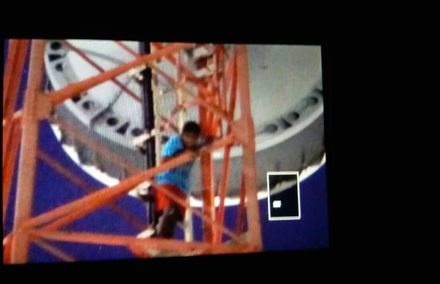 ޑިސެމްބަރު 15، 2016: ށ. ފުނަދޫގައި ހުންނަ ދިރާގުގެ 280 ފޫޓު އުސް އެންޓަނާގެ މައްޗަށް 12 އަހަރުގެ ފިރިހެން ކުއްޖަކު އަރާ: އޭނާ އެންޓަނާ އަށް އެރީ ބަޔަކަށް އަތުނުވާންވެގެން ކަމަށް ވޭ. ފޮޓޯ/ކޮމްބައިން ޕްރިންޓާ