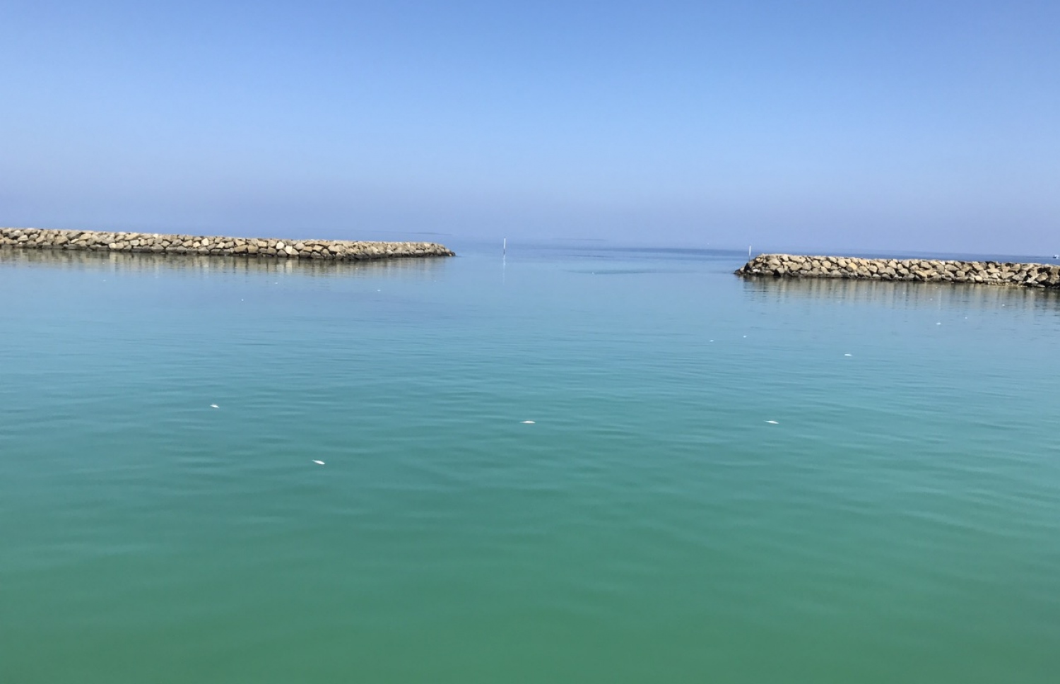 ވައިކަރަދޫ ފަޅުތެރޭގައި މަރުވި މަސްތައް ކުނިވެގެން މައްޗަށް އަރަން ފަށާފައި: ބަނދަރުގައި ދައުރުވާ އޮޔާއި ފެން ބޭރުވާން އިންނަނީ 50 ފޫޓުގެ ޖާގައެއް .---ފޮޓޯ: އަހްމަދު ފާރިސް