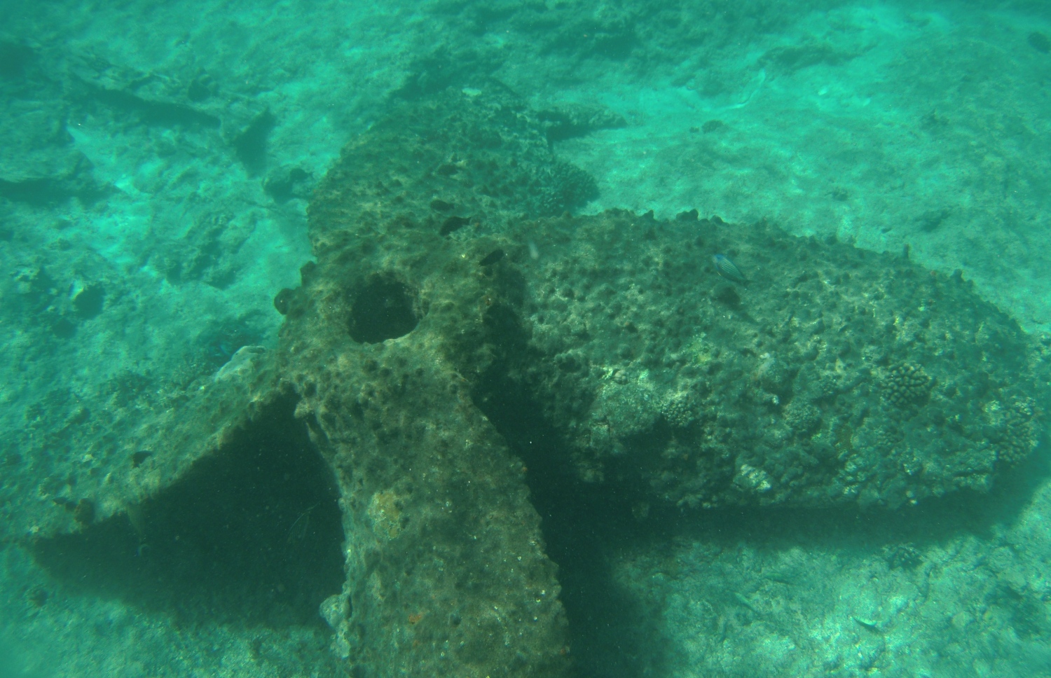 މޫދު އަޑީގައި އޮތް ބޯޓުގެ ބުރަފައްޗެއް -- ފޮޓޯ: ނިއުމަތުﷲ އިދުރީސް/މިހާރު