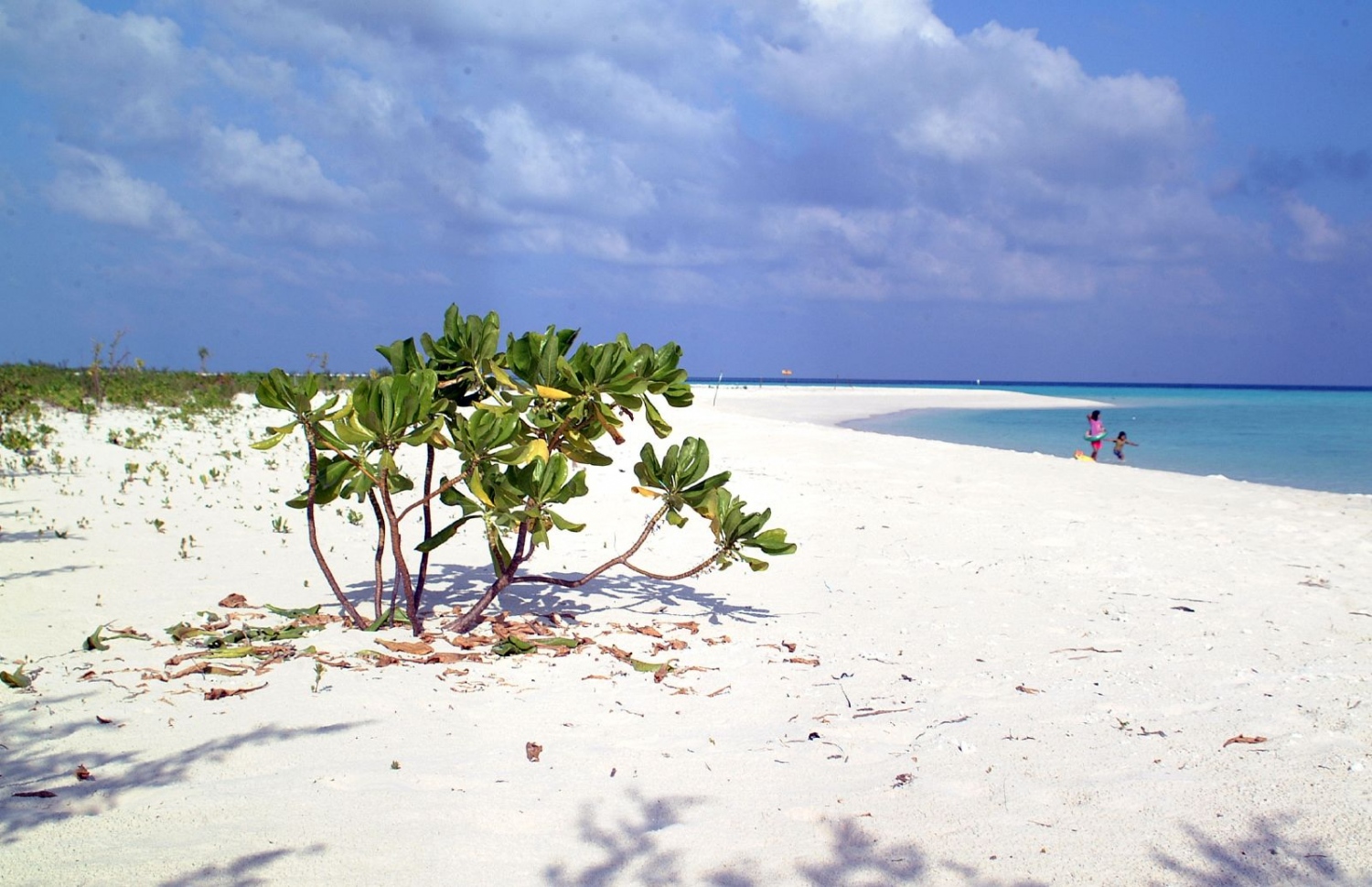 ބ. އަތޮޅުގެ ފަޅުރަށެއްގެ ތުނޑި އާއި ގޮނޑުދޮށް އަދި މޫދު. ރާއްޖެއަކީ ގުދުރަތީ މިފަދަ ރީތި މަންޒަރުތަކުން މުއްސަނދި ގައުމެއް. ފޮޓޯ: އަހްމަދު އަބްދުﷲ ސައީދު / މިހާރު