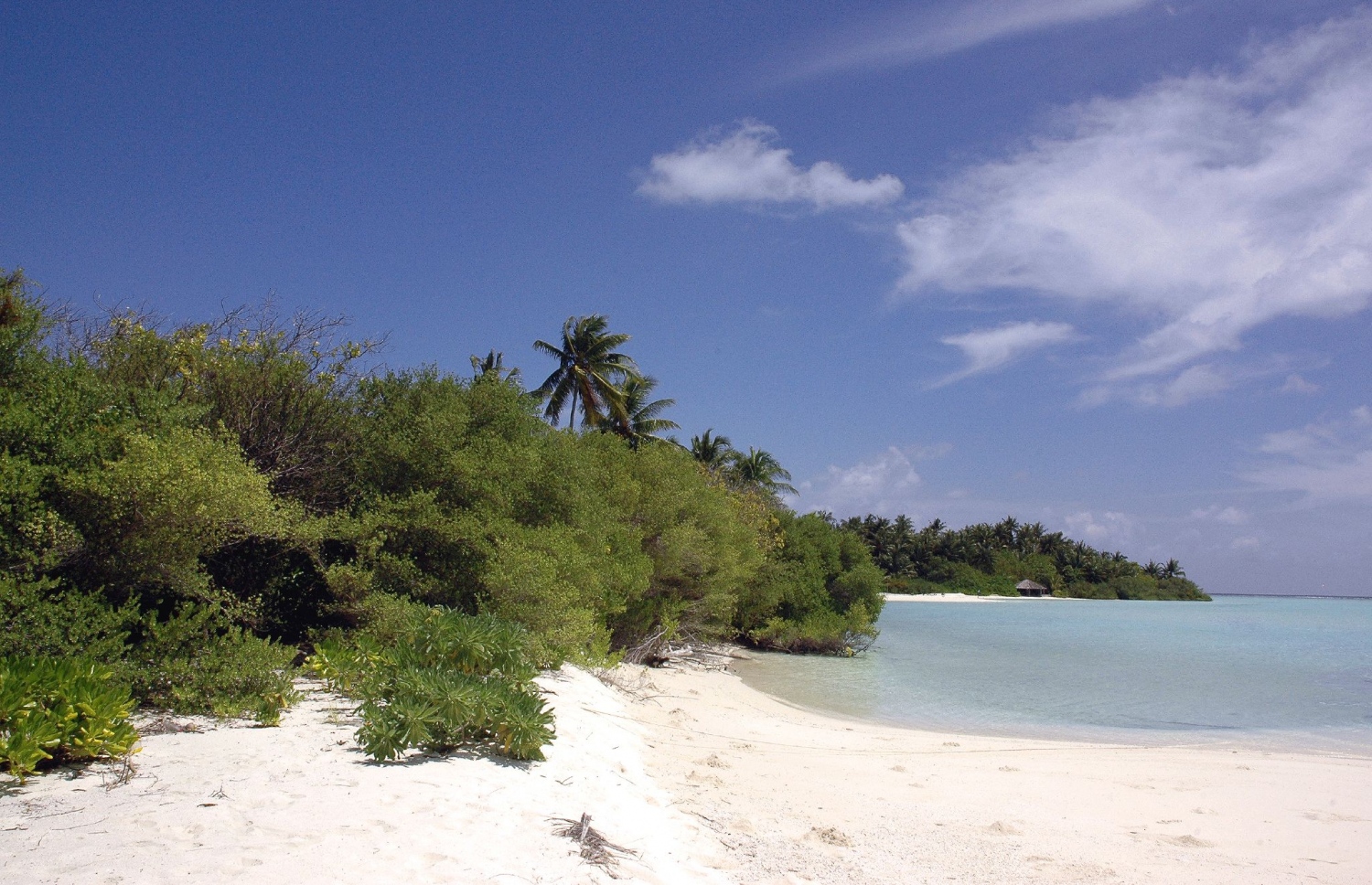 ބ. އަތޮޅުގެ ފަޅުރަށެއްގެ އަތިރިމަތީގެ ދޮން ވެލިގަނޑާއި ސާފު މޫދު. ރާއްޖެއަކީ ގުދުރަތީ މިފަދަ ރީތި މަންޒަރުތަކުން މުއްސަނދި ގައުމެއް. ފޮޓޯ: އަހްމަދު އަބްދުﷲ ސައީދު / މިހާރު