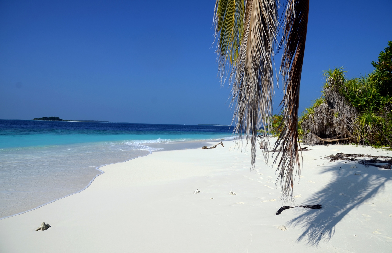 ބ. އަތޮޅު ފަޅުރަށެއްގެ ސާފު ދޮންވެލިގަނޑާ ދިމާލަށް ރުކެއްގެ ހިކި ފަނެއް އެލިފައި. ރާއްޖެއަކީ ގުދުރަތީ މިފަދަ ރީތި މަންޒަރުތަކުން މުއްސަނދި ގައުމެއް. ފޮޓޯ: އަހްމަދު އަބްދުﷲ ސައީދު / މިހާރު