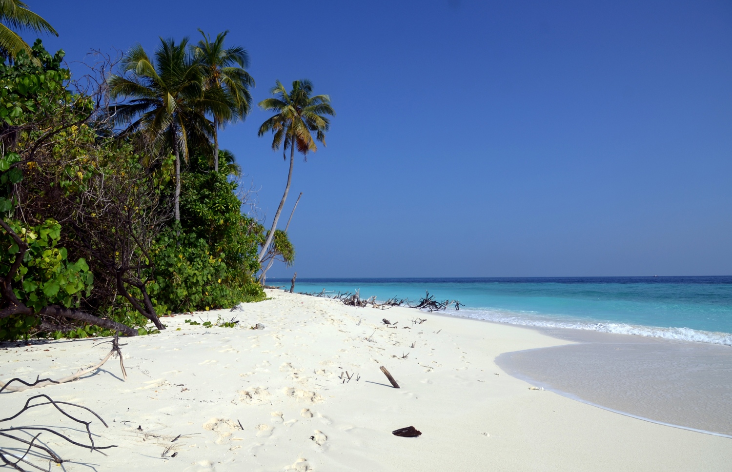 ބ. އަތޮޅުގެ ފަޅުރަށެއްގެ އަތިރިމަތީގެ ދޮން ވެލިގަނޑާއި ސާފު މޫދު. ރާއްޖެއަކީ ގުދުރަތީ މިފަދަ ރީތި މަންޒަރުތަކުން މުއްސަނދި ގައުމެއް. ފޮޓޯ: އަހްމަދު އަބްދުﷲ ސައީދު / މިހާރު