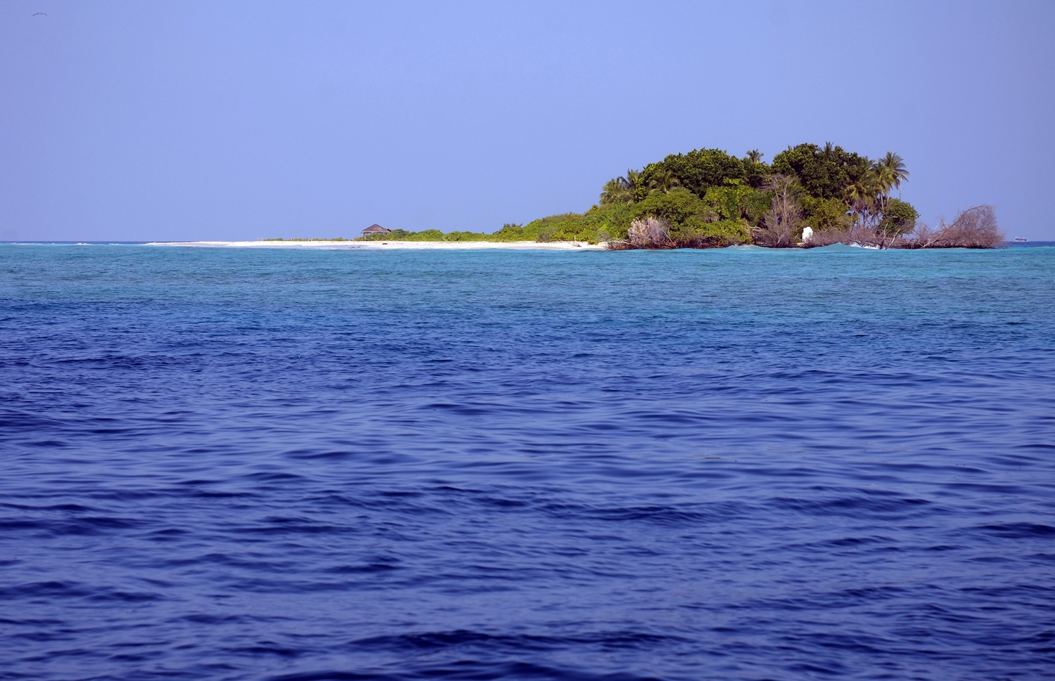 ބ. އަތޮޅުގެ ކުޑަ ފަޅުރަށެއްގެ އެއް ފަރާތުގައި ދިގު ތުނޑިއެއް އޮތް އިރު އަނެއް ފަރާތުން ރަށުގެ ބޮޑުބައެއް ގިރާލައި ބައެއް ގަސްތައް މަރުވެފައި. ތިމާވެށީގެ މައްސަލަތަކުގެ ސަބަބުން ރާއްޖޭގެ ގުދުރަތީ ރީތި ކަމަށް ގެއްލުންތަކެއް ލިބޭ. ފޮޓޯ: އަހްމަދު އަބްދުﷲ ސައީދު / މިހާރު