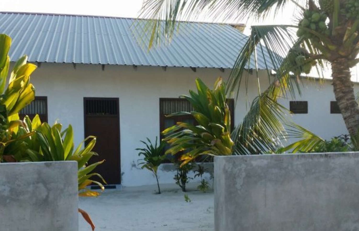 ހަލީމާގެ ގެ: ލައްފިލުވާ ޖެހީ ފަތިހު އޭނާ ގޭގެ ދޮރު ހުޅުވާލި ވަގުތު