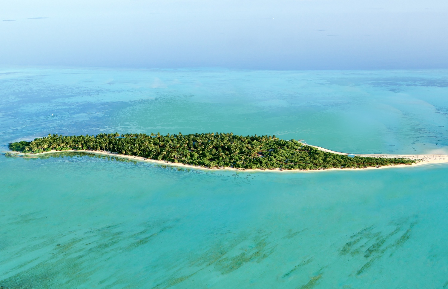 ކޮކޫން ރިސޯޓް: ސީޕްލޭންގައި 30 މިނެޓުން ދެވޭ.-- ފޮޓޯ: ކޮކޫން