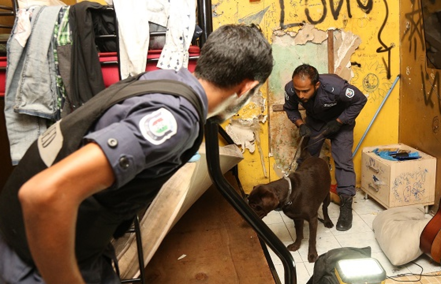 މަސްތުވާތަކެތި އަތުލައިގަތުމަށް ފުލުހުން ހިންގި އޮޕަރޭޝަނެއްގެ ތެރެއިން-- ފޮޓޯ: ޕޮލިސް