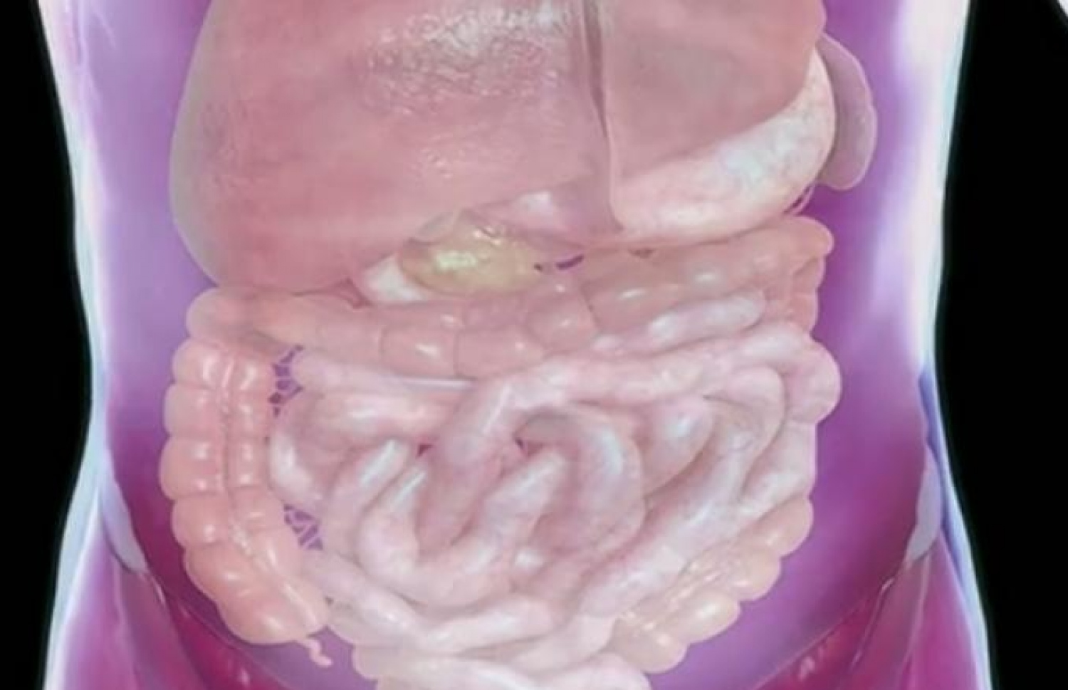 އިންސާނާގެ ބަނޑުތެރެ