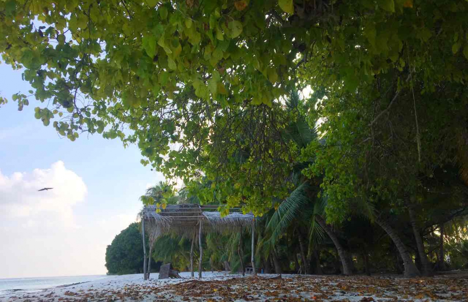 ފޮތް ކިޔުއްވުމަށް މައުމޫން އެންމެ ގިނައިން އިންނަވާ އެ ރަށު ބޮޑު ނިކަގަސް ދޮށް -- ފޮޓޯ: އައިމިނަތު ޝިފްލީން/ މިހާރު