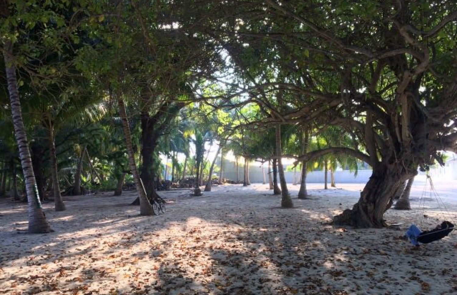 މަކުނުދޫން މައުމޫނަށް ޚާއްސަކުރި ބިން: މި ތަނަށް އެ ރަށު މީހުން ކިޔަނީ "ރައީސް ގެވަޅު"-- ފޮޓޯ: އައިމިނަތު ޝިފްލީން/ މިހާރު