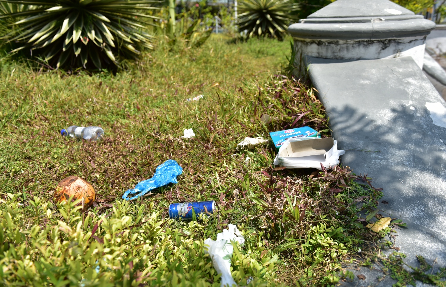 ހުކުރު މިސްކިތުގެ ބަގީޗާ އަށް ކުނި އަޅާފައި. ފޮޓޯ: ނިޝާން އަލީ/ މިހާރު