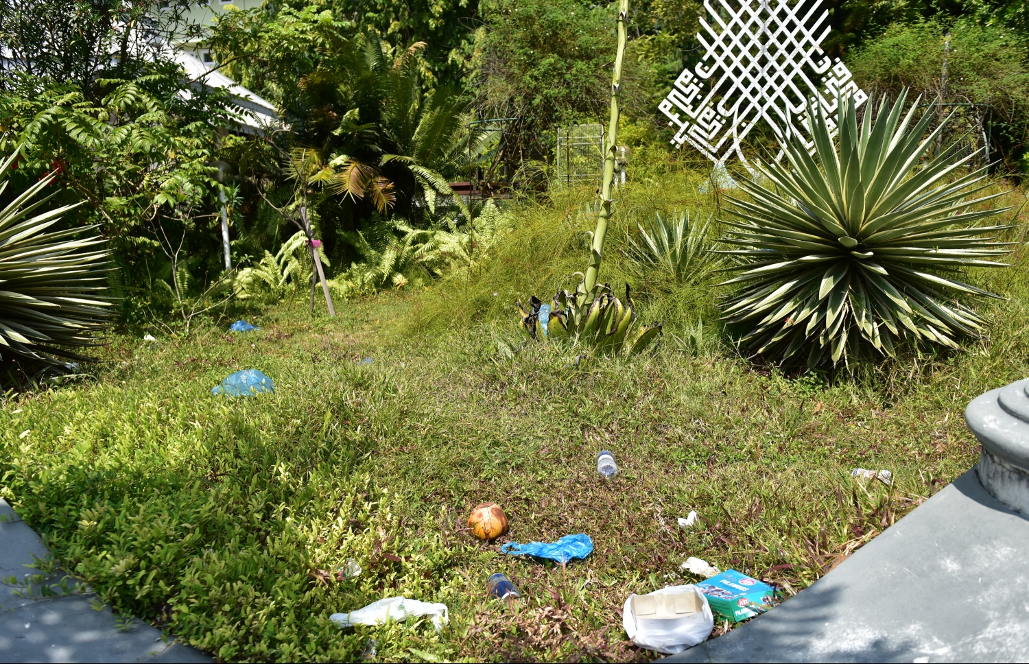 ހުކުރު މިސްކިތުގެ ގޯތި ތެރޭގައި އޮންނަ ބަގީޗާ އަށް ކުނި އަޅާފައި. ފޮޓޯ: ނިޝާން އަލީ/ މިހާރު