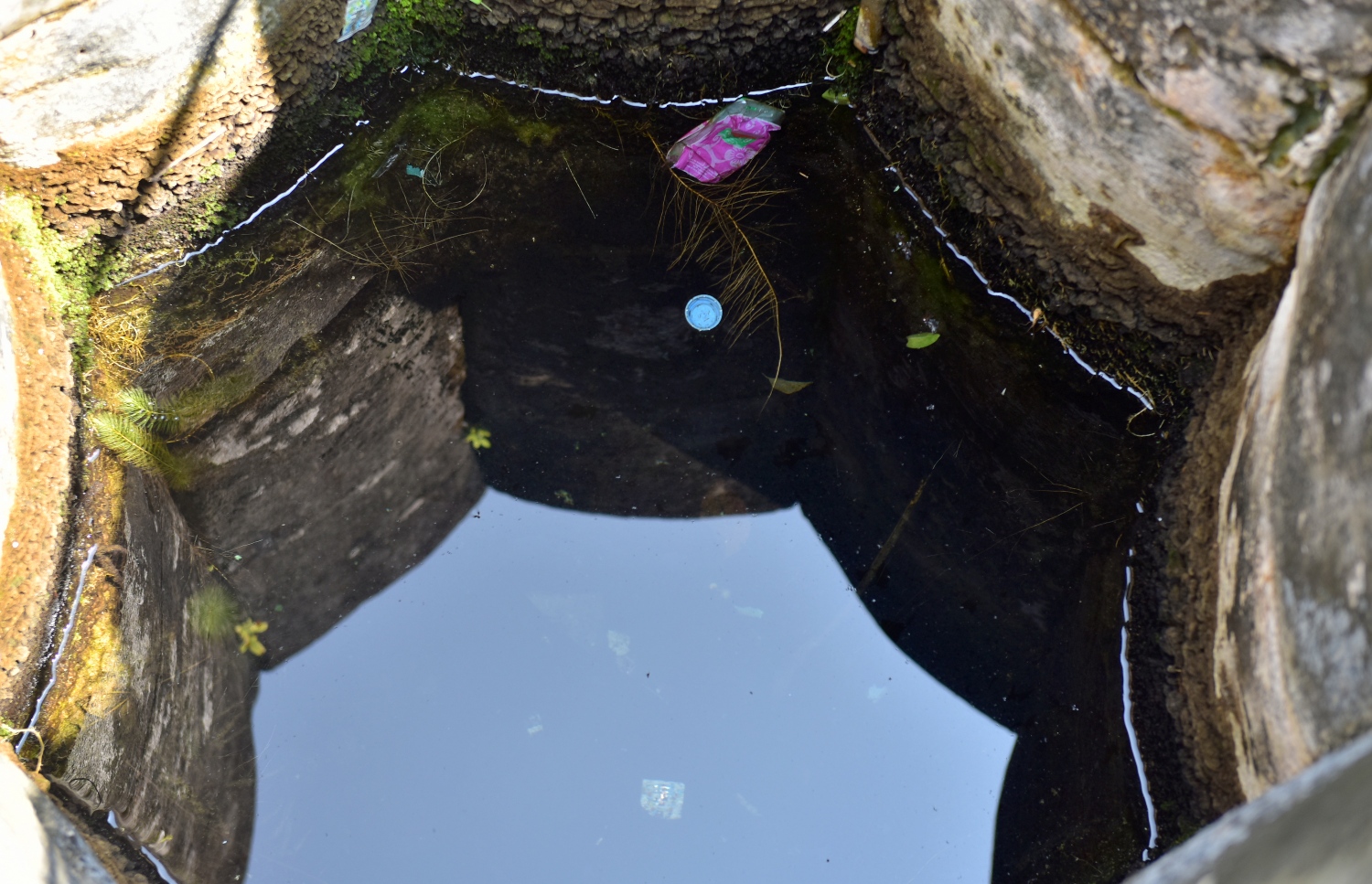 ހުކުރު މިސްކިތުގެ ވަޅު ތެރޭގައި ގަސްތަކުގެ މޫތައް ދިގުވެ މުޅި ވަޅުގައި ފެހި ބޯވެފައިވުމުގެ އިތުރުން ވަޅު ތެރެ އަށް ކުނި އަޅާފައި. ފޮޓޯ: ނިޝާން އަލީ/ މިހާރު