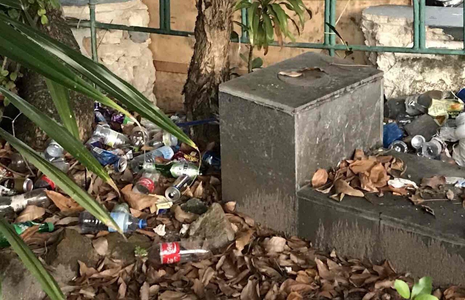 ހުކުރު މިސްކިތުގެ ގޯތިތެރޭގައި އޮންނަ ޕާކަށް ކުނި އަޅާފައި. ފޮޓޯ: މިހާރު