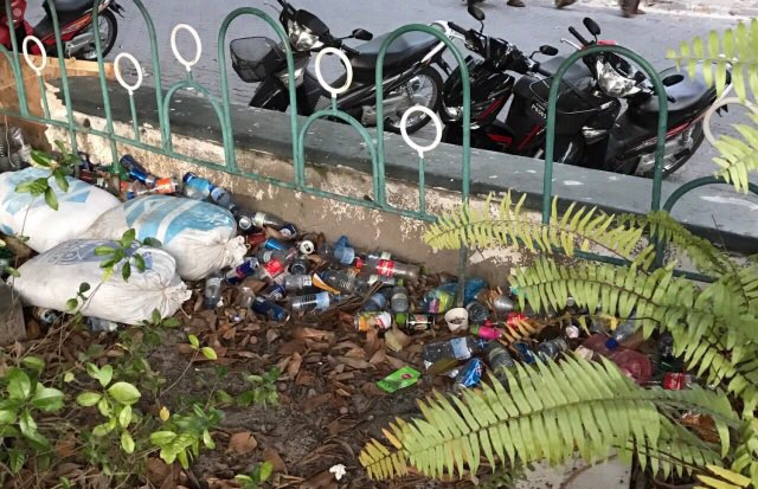 ހުކުރު މިސްކިތުގެ ގޯތިތެރޭގައި އޮންނަ ބަގީޗާ ތެރެއަށް ކުނި އަޅާފައި. ފޮޓޯ: މިހާރު