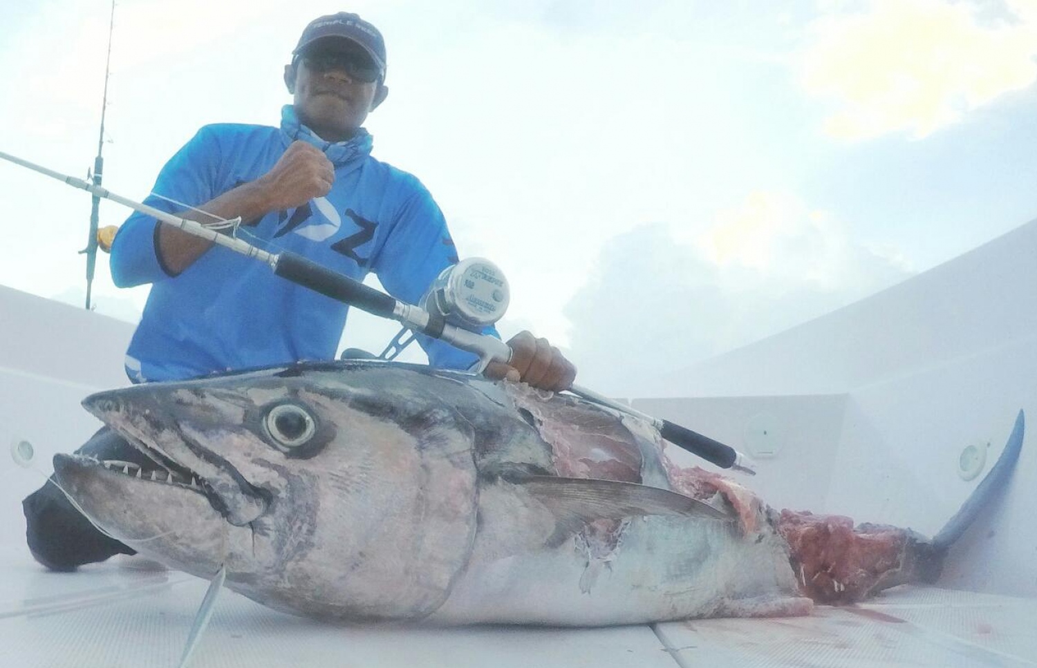 ބަރުދަނުގައި 100 ކިލޯ އަދި ދިގުމިނުގައި ފަސް ފޫޓު ހުރި ވޮށި މަސް. މިއީ އާންމުކޮށް ނުބޭނޭ ވައްތަރެއްގެ ބޮޑު މަހެއް. - ފޮޓޯ: އައްޑޫ ސްޕޯޓްސް ފިޝިން