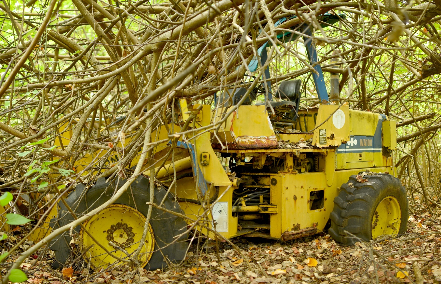 އުލިގަމަށް ގެންދިޔަ މަސައްކަތު ވެހިކަލެއް ގަސްތަކުގެ ތެރެއަށް ދޫކޮށްލާފައި --ފޮޓޯ:އަބްދުﷲ އައުރާފް/މިހާރު