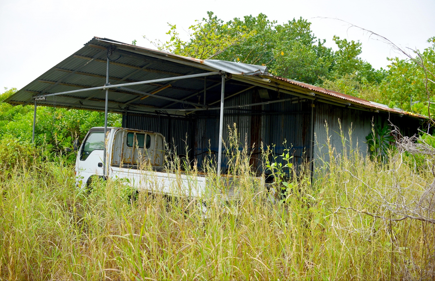 އުލިގަމު ސިޓީ ހޮޓާ ސަރަހައްދުގައި އޮތް ވެހިކަލެއް.